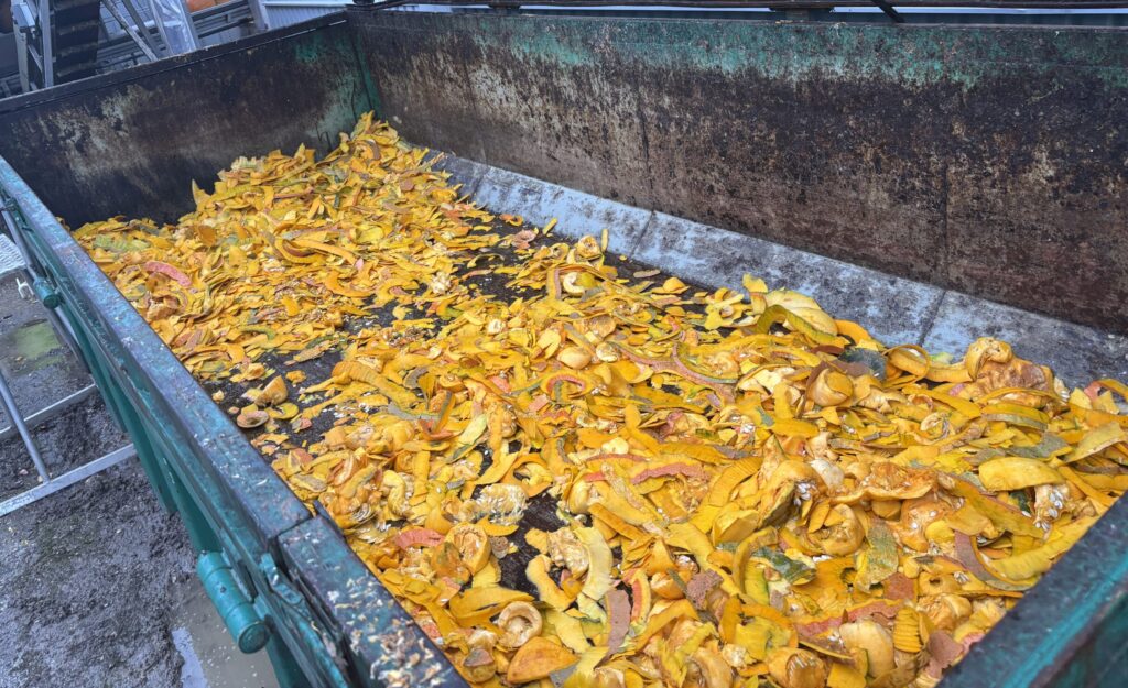 Pumpkin shells at Orkla production facility